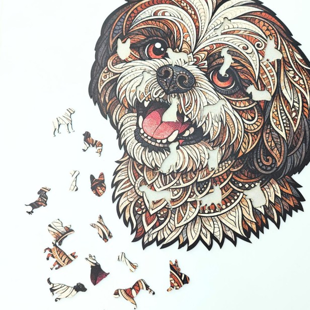 uroczy pies, piesek shih tzu, pies maltańczyk, puzzle piesek, puzzle drewniane piesek