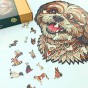 uroczy pies, piesek shih tzu, pies maltańczyk, puzzle piesek, puzzle drewniane piesek