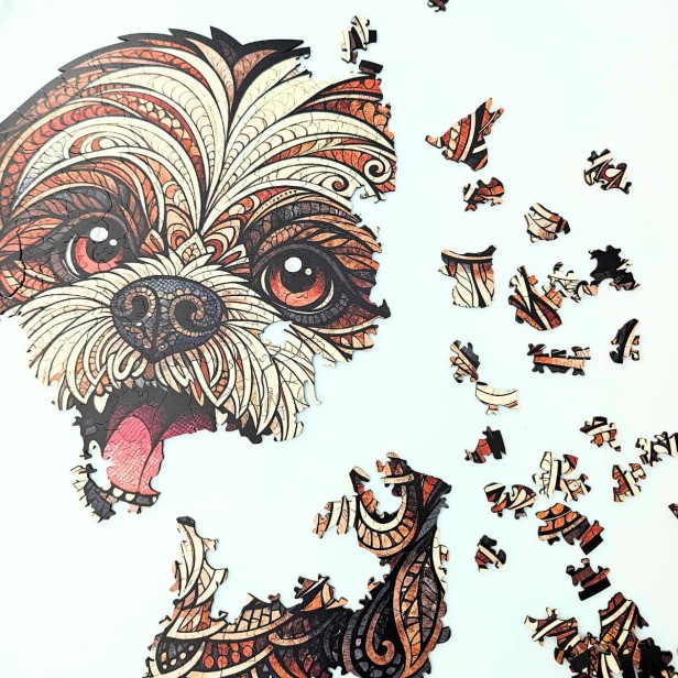 uroczy pies, piesek shih tzu, pies maltańczyk, puzzle piesek, puzzle drewniane piesek
