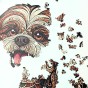 uroczy pies, piesek shih tzu, pies maltańczyk, puzzle piesek, puzzle drewniane piesek