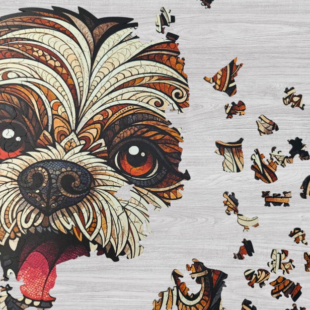 uroczy pies, piesek shih tzu, pies maltańczyk, puzzle piesek, puzzle drewniane piesek
