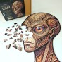 puzzle drewniane ufo, puzzle ufo, puzzle kosmita, puzzle nieregularne kształty ufo, rozsypane puzzle ufo
